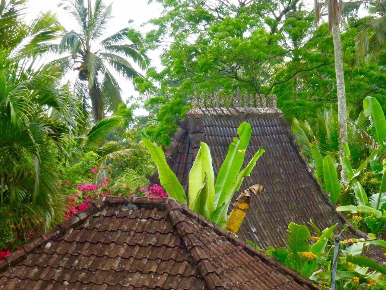 Bali Mountain Retreat Villa Selemadeg  Exterior photo