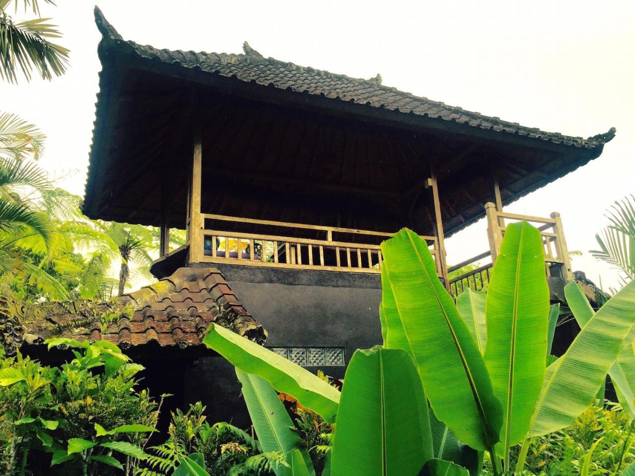 Bali Mountain Retreat Villa Selemadeg  Exterior photo